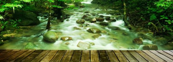 tropical forest and stream wakes the sense and provides calm